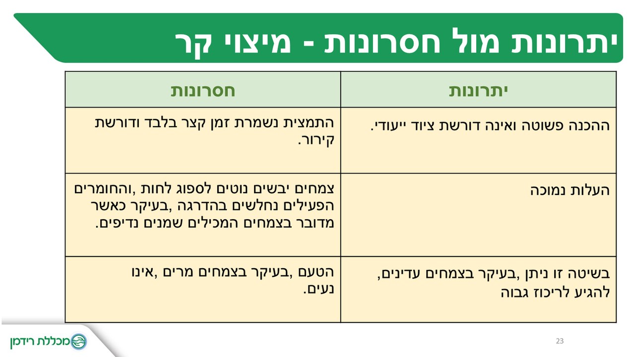 טבלה לפני - צבעים מקוריים ופס כותרת ירוק